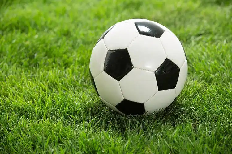 捷报比分足球比分触屏版多设备展示